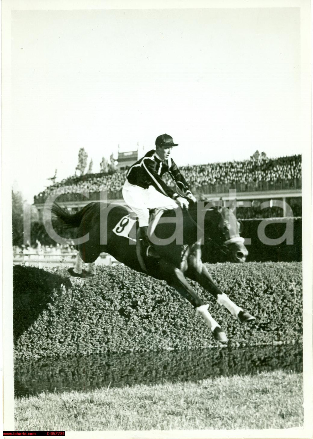 Fotografia d'epoca originale 1939 MILANO Cavallo GRAZZANO vince Premio della FIERA 1