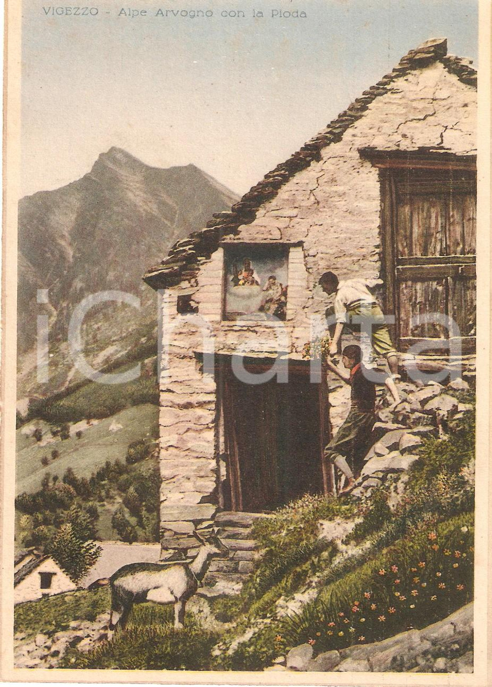 Cartolina originale da collezione 1940 ca VIGEZZO (VB) Alpe Arvogno con la PIODA *Prova di stampa per Cartolina 1