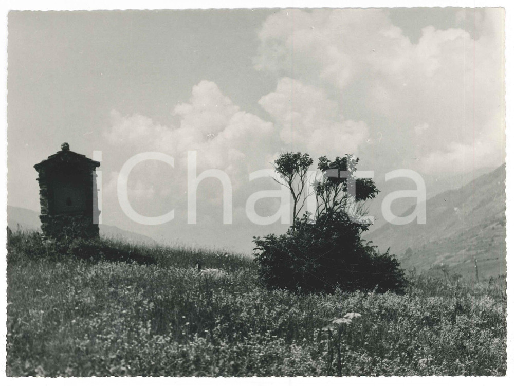 Fotografia d epoca originale 1955 ca VAL CAMONICA  PONTAGNA  Panorama Foto Gualtiero LAENG FIRMATA 1