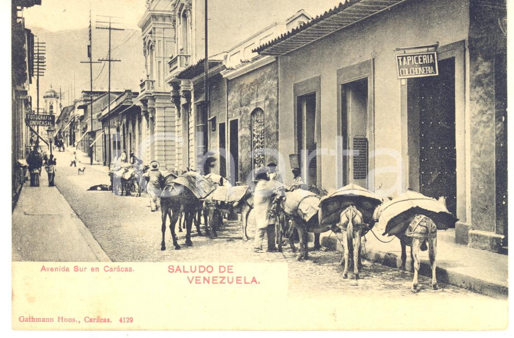 1910 ca CARACAS (VENEZUELA) Avenida Sur - Cartolina ANIMATA muli da soma FP  Cartolina postale d'epoca, non viaggiata.CONDIZIONI: FAIR (piegatura al margine inferiore)FORMATO: FP    originale e autentica 1