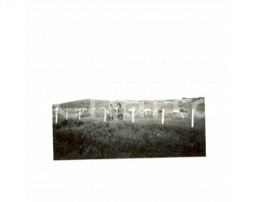 Fotografia d epoca originale 1937 AOI ERITREA Indigeni delle Truppe Coloniali posano in campagna Foto 6,5 x5 1