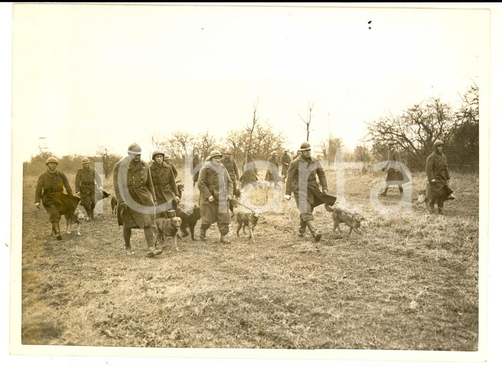 Fotografia d epoca originale 1940 WW2 FRENCH ARMY ZONE Soldiers with dogs for service at front  Photo 1