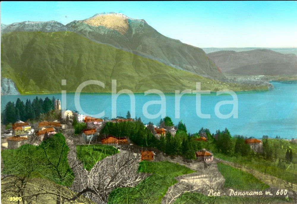 Cartolina originale da collezione 1964 BEE VB Veduta del paese e del Lago MAGGIORE Cartolina postale FG VG 1