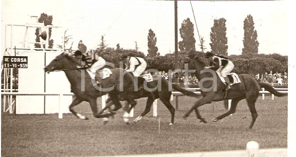 Fotografia d'epoca originale 1939 MILANO IPPICA Premio GARBAGNATE Cavallo ALLORO batte BOZZETTO *Foto 12x7 cm 1