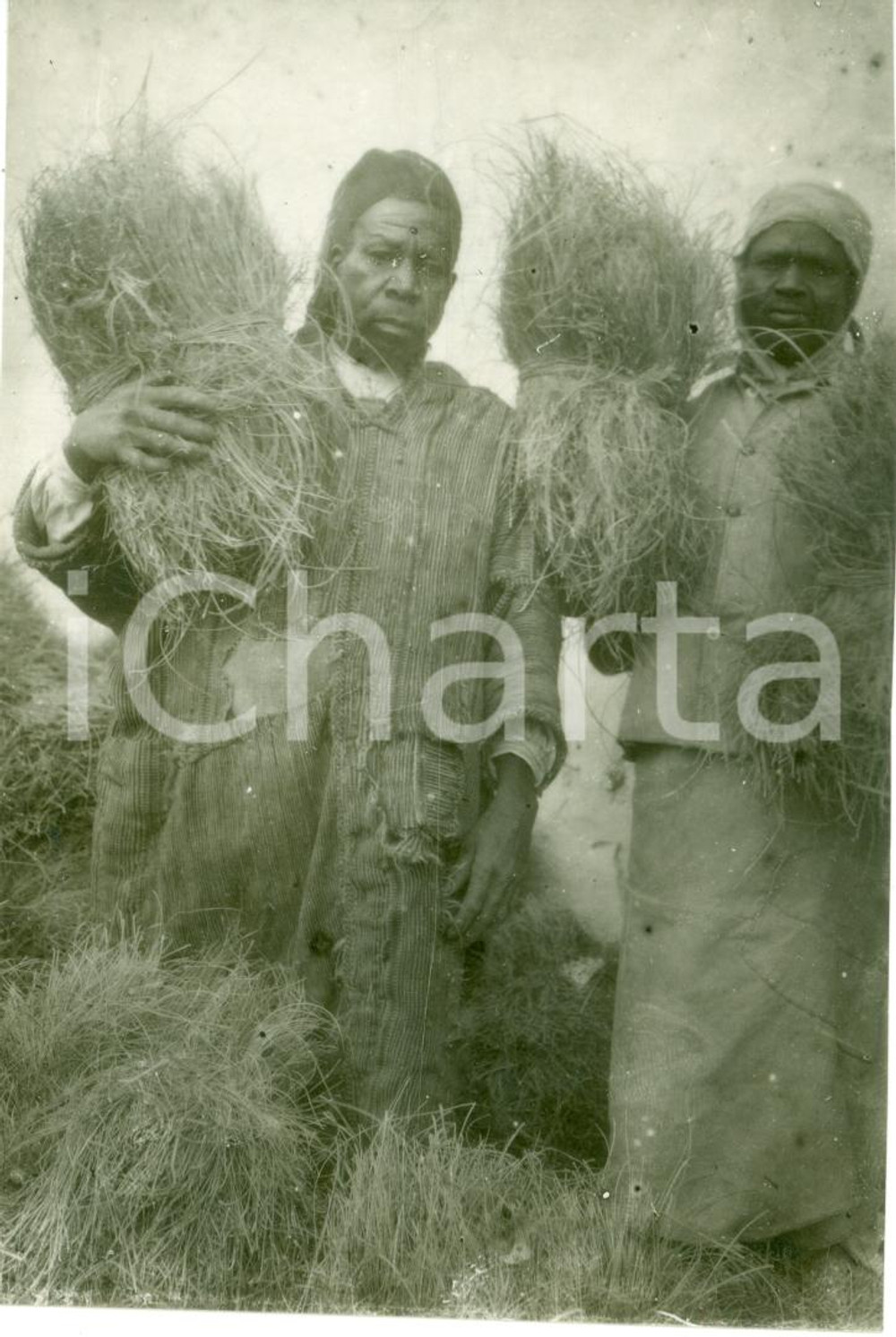Fotografia d epoca originale 1930 TRIPOLI LIBIA Due beduini con fasci di sparto Fotografia 1