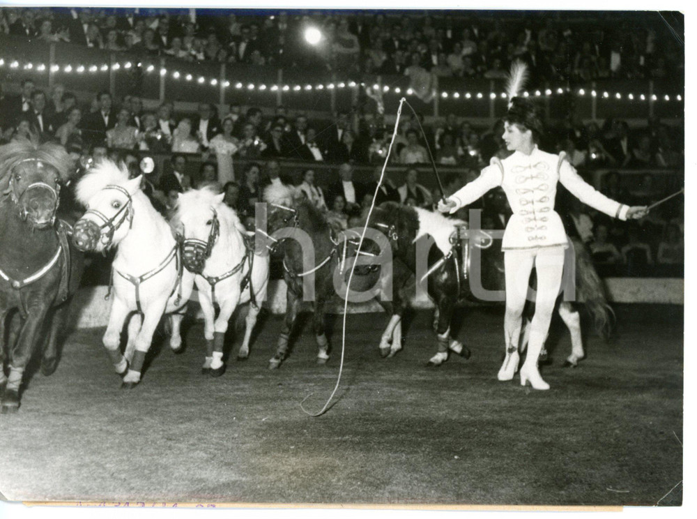 1953 PARIS Gala de l'Union - Gaby SYLVIA durante spettacolo con i pony *Foto 