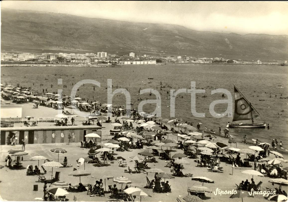 Cartolina originale da collezione 1963 MANFREDONIA (FG) La spiaggia di SIPONTO Animata FG 1