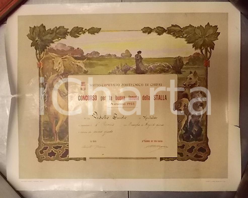 Documento originale, autentico 1923 CHIERI TO Concorso buona tenuta stalla Diploma Giusto VIDOTTO DANNEGGIATO 1