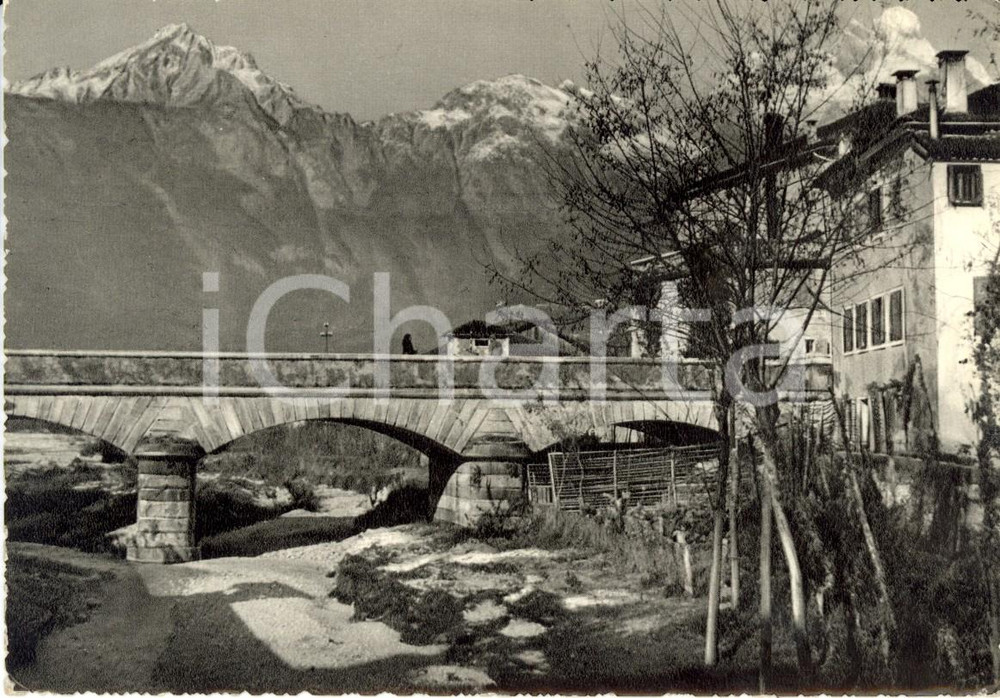 Cartolina originale da collezione 1950 ca SAN GIUSTINA BL Ponte sul torrente VESES con monte PIZZOCCO FG VG 1