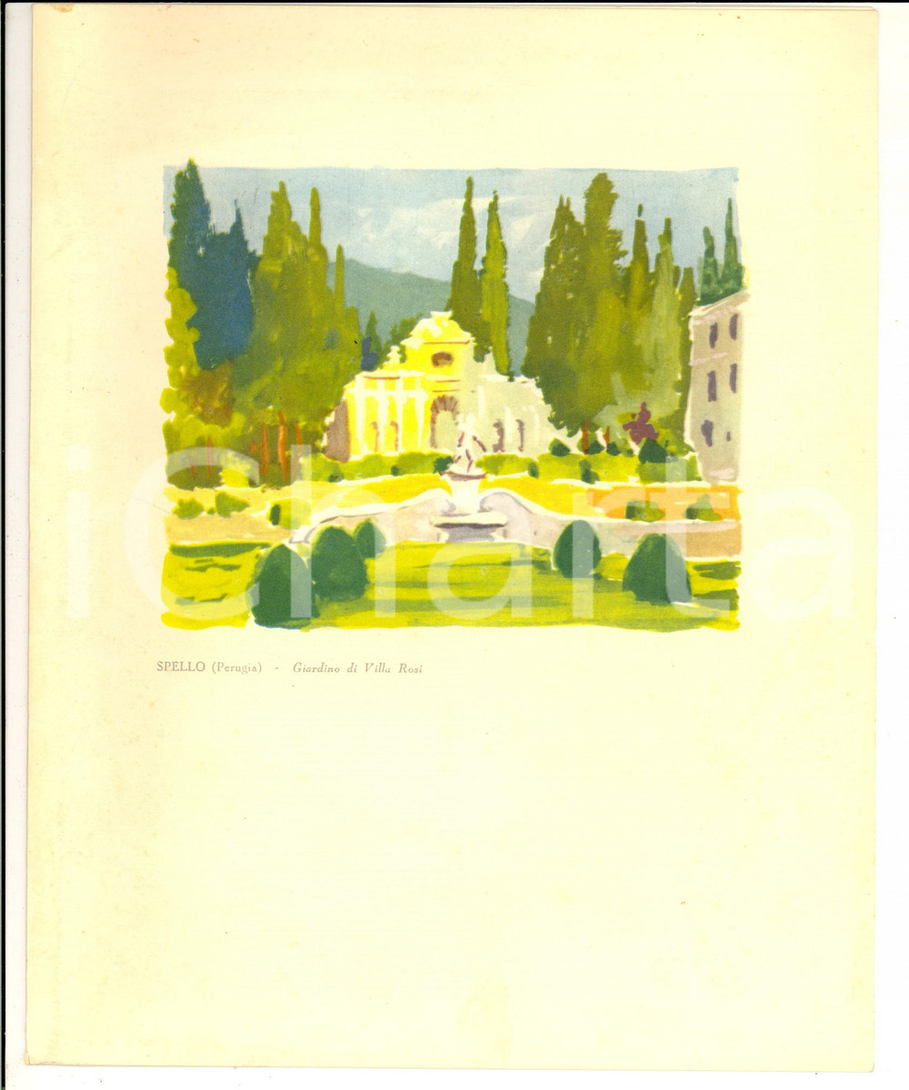 Oggetto da collezione cartaceo 1961 Navigazione ADRIATICA Motonave AUSONIA Menù  Stampa Spello VILLA ROSI 1