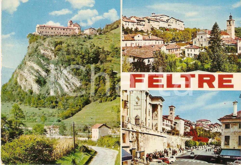 Cartolina originale da collezione 1972 FELTRE BL Vedutine della città Cartolina FG VG 1