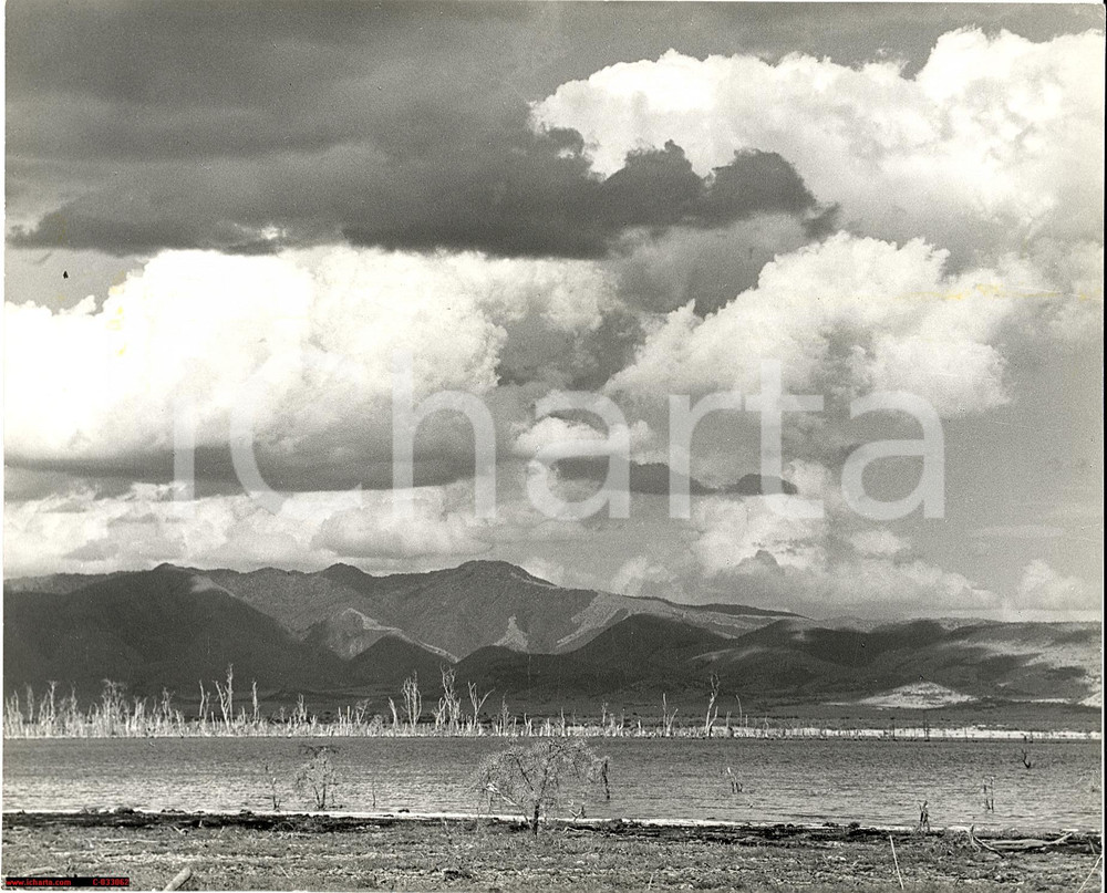 Fotografia d'epoca originale 1965 Tanzania - Lake Manyara, PHOTO J. RUFUS 1