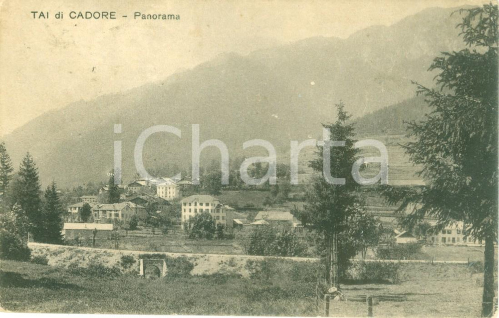 Cartolina originale da collezione 1925 PIEVE DI CADORE (BL) Panorama della frazione TAI *Cartolina FP VG 1
