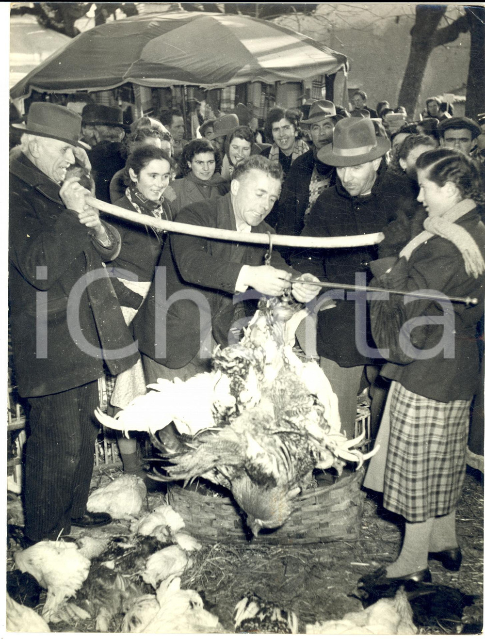 1955 ca MOROZZO (CN) Fiera del Cappone - Folla all'esposizione *Foto 18x24