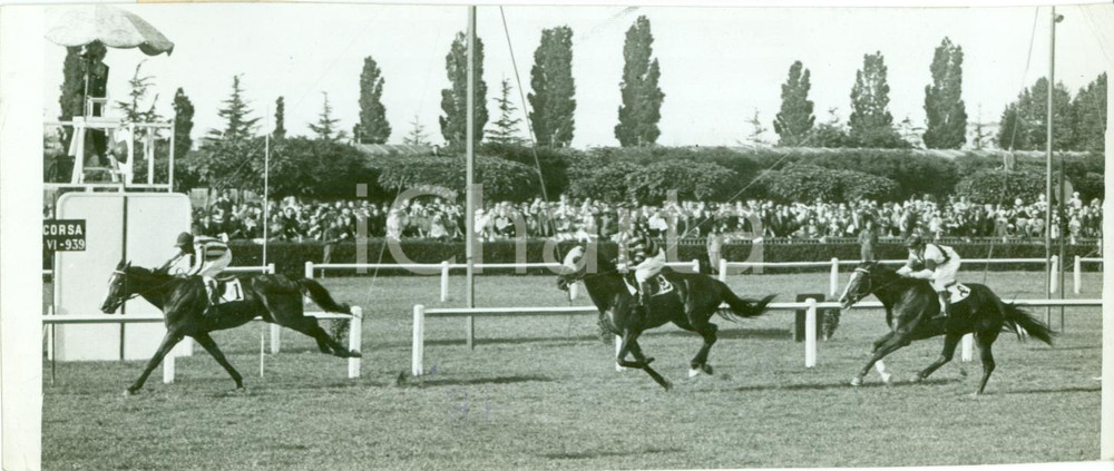 Fotografia d epoca originale 1939 MILANO Cavallo VEZZANO taglia traguardo concorso ippico Fotografia 1