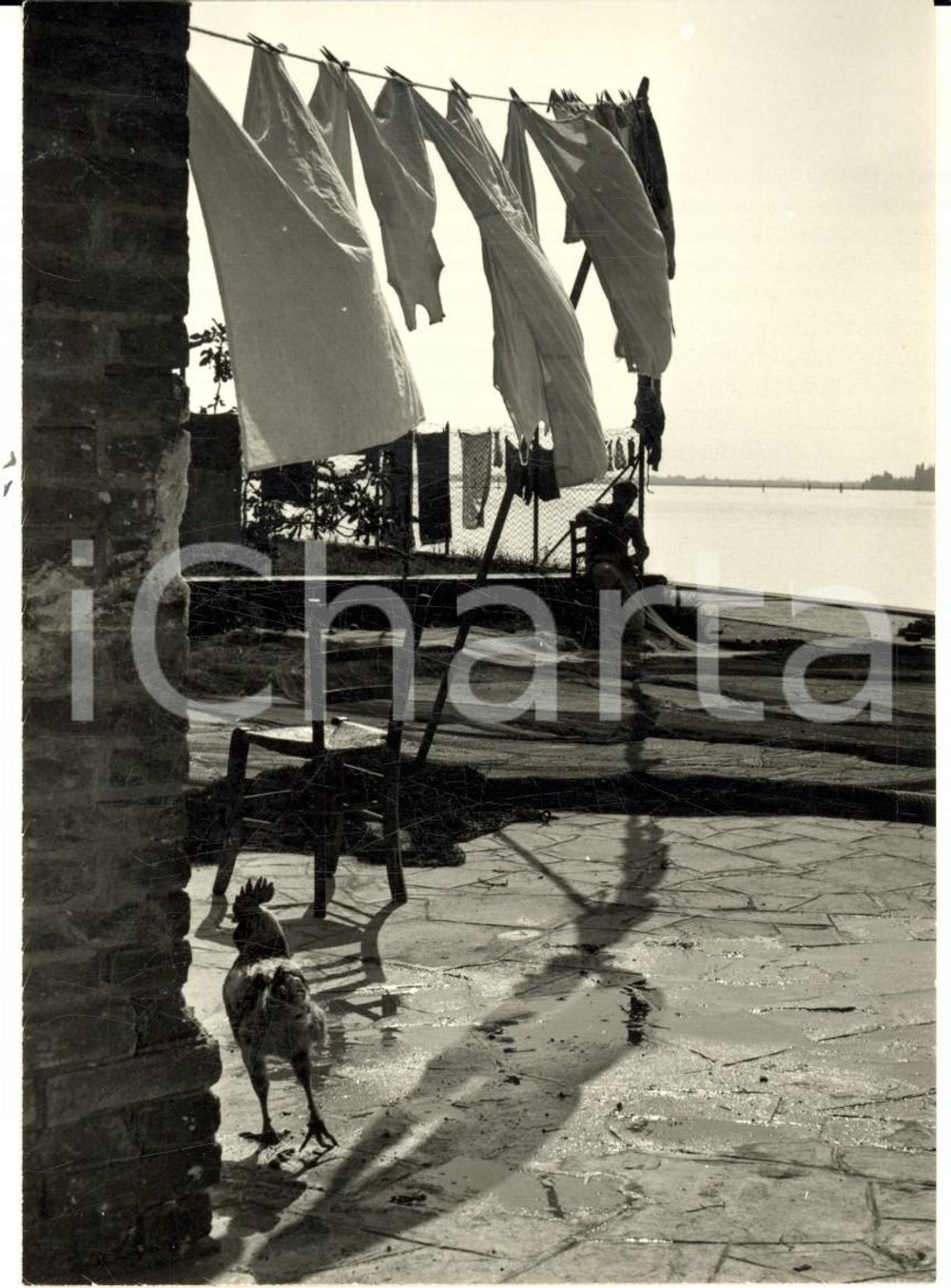 Fotografia d epoca originale 1957 VENEZIA Pescatore al lavoro tra il bucato al sole Foto ARTISTICA 10x14 cm 1