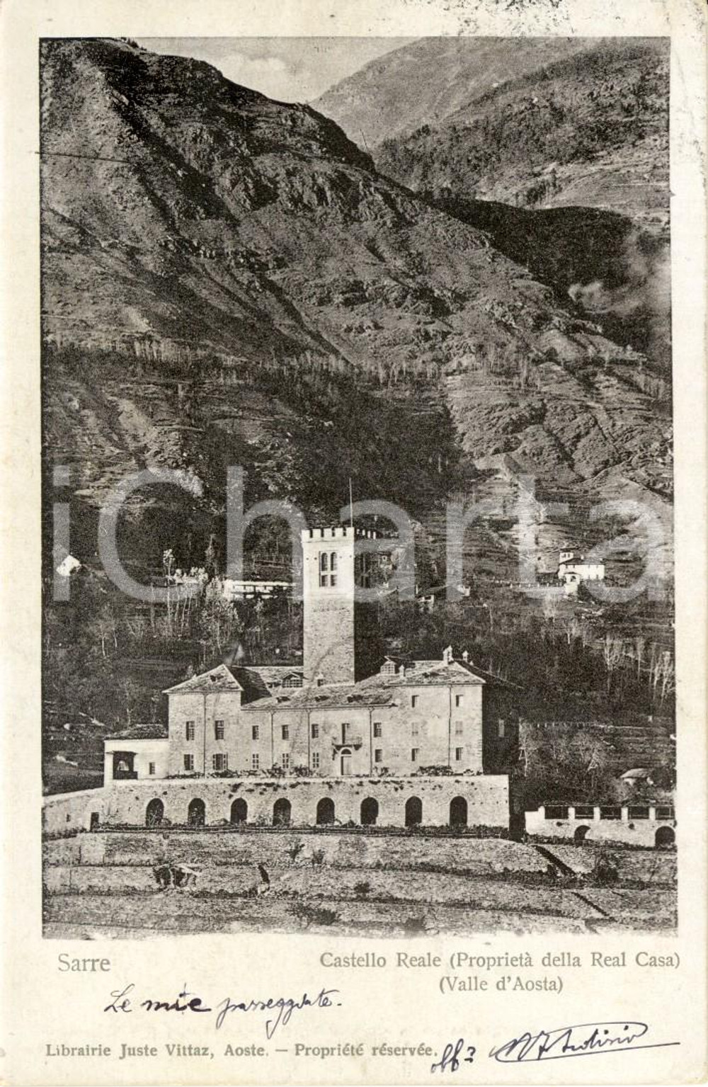 Cartolina originale da collezione 1905 SARRE (AO) Castello della Real Casa e vigneti *Cartolina FP VG 1
