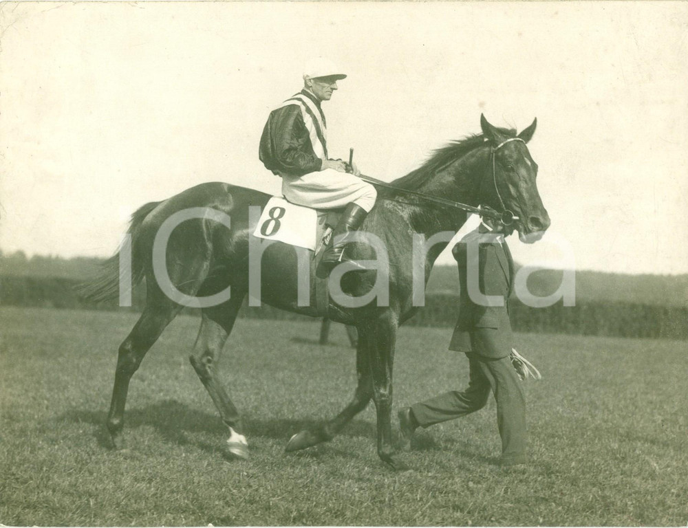 Fotografia d epoca originale 1930 ca BERLIN Ippica Cavallo ANMARSCH torna al peso Fotografia 1