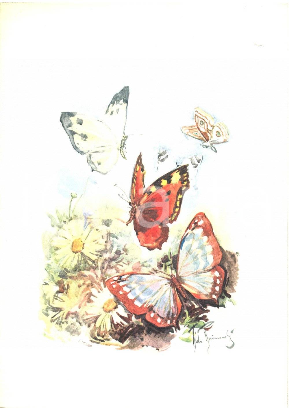 Oggetto da collezione cartaceo 1974 T/N MICHELANGELO Menù colazione Illustratore Aldo RAIMONDI Chef DANIELI 4 1