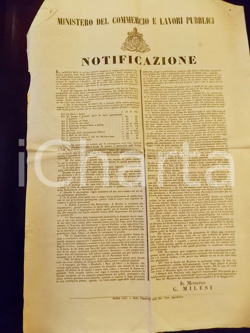 Documento originale, autentico 1855 STATO PONTIFICIO Premi per nuove piantagioni di alberi MANIFESTO 1