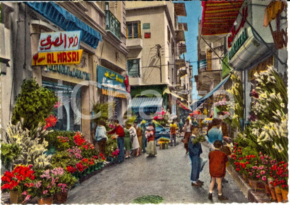 Cartolina originale da collezione 1967 BEIRUT LIBANO Veduta del mercato dei fiori Cartolina ANIMATA VINTAGE FG 1