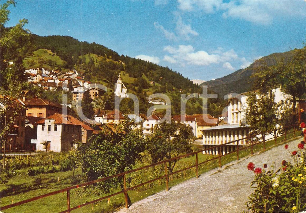 Cartolina originale da collezione 1972 RIGOLATO UD Panorama del paese e timbro Bar Gussetti Cartolina FG VG 1