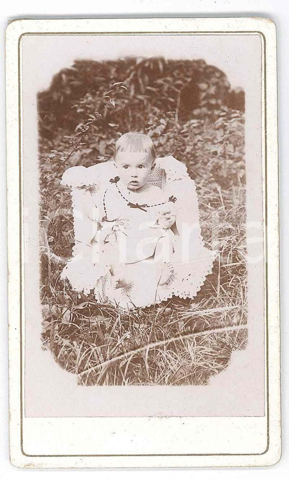 1880 ca ITALIA (?) Ritratto di bambino nel prato - Fotografia CDV Fotografia d'epoca, montata su cartoncino rigido. FAIR/discreto Lievi smussature agli angoli Formato: 6x10 cm originale e autentica 1