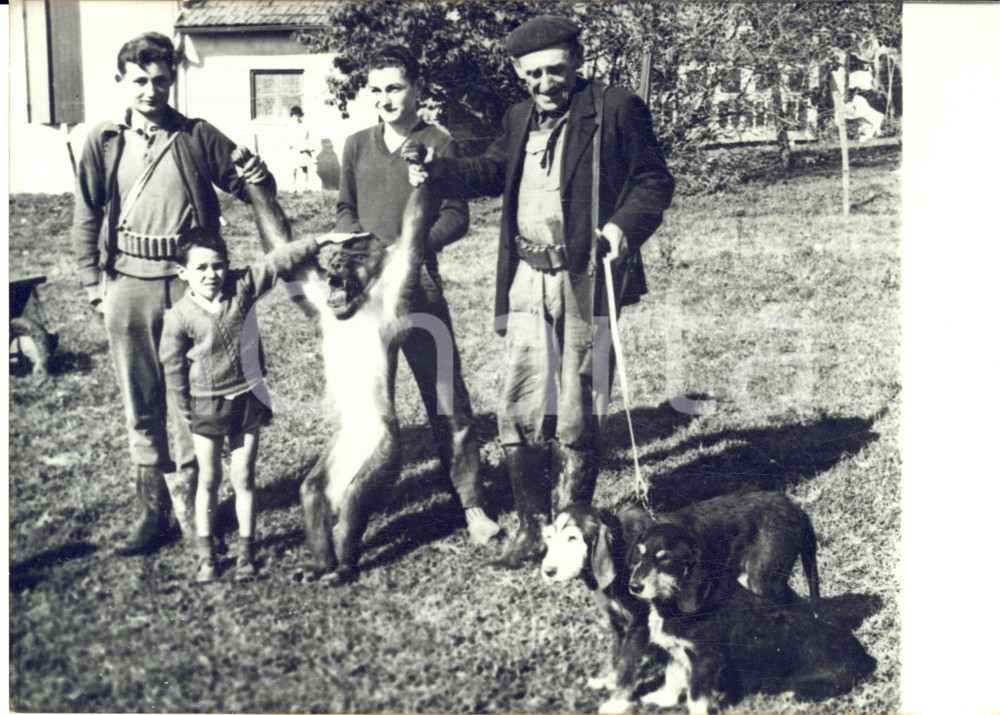 1960 BERGERAC Cultivateur AUDIGNEY en chassant le lapin tue un singe - Photo 