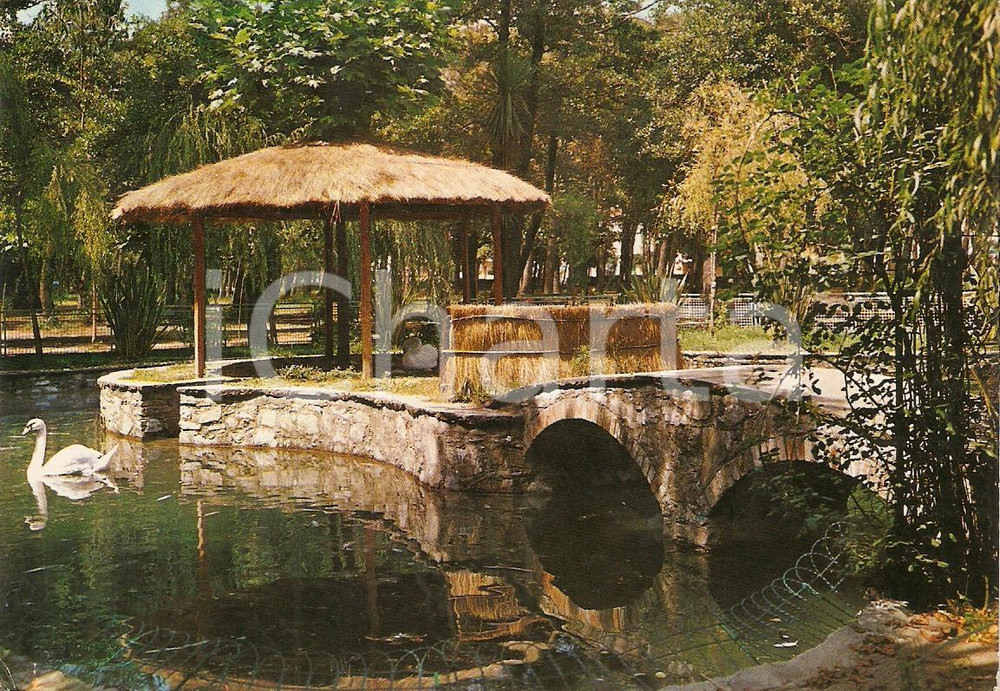 Cartolina originale da collezione 1976 VIAREGGIO LU Laghetto dei cigni PINETA Cartolina VINTAGE 1