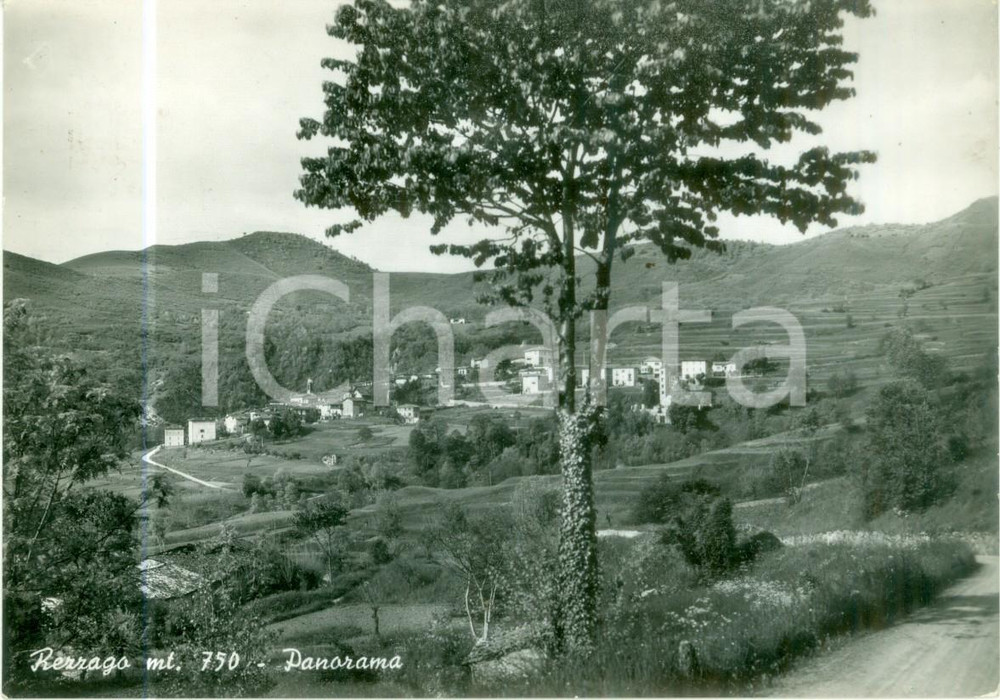 Cartolina originale da collezione 1954 REZZAGO CO Panorama del paese Cartolina postale FG VG 1