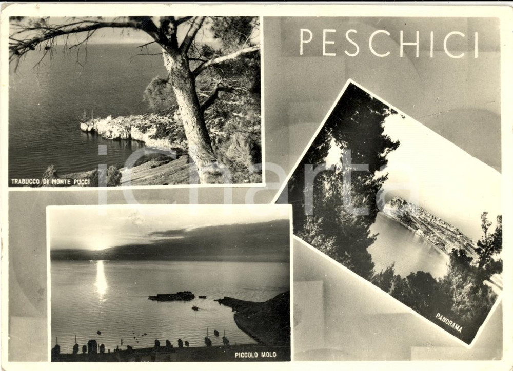 Cartolina originale da collezione 1957 PESCHICI FG Vedutine Trabucco di Monte PUCCI FG 1
