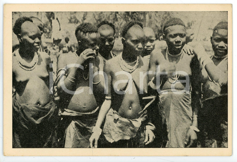 1950 ca CONGO - KIVU Banya Bongo NU ETHNIQUE Carte postale LAMMERETZ  Cartolina postale d'epoca, non viaggiata. Photo LammeretzCONDIZIONI: FAIRFORMATO: FG    originale e autentica 1