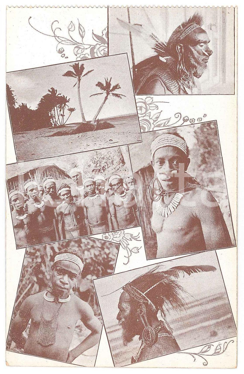 1925 ca NOUVELLE GUINÉE NÉERLANDAISE Coupeurs de têtes - Portraits - Postcard Cartolina postale d'epoca, non viaggiata.La cartolina appartiene allla serie "Chez les coupeurs de t&ecirc;tes de la Nouvelle-Guin&eacute;e N&eacute;erlandaise"CONDIZIONI: GFORMATO: FPEDITORE: Missionnaires du S. Coeur - Borgerhout-Anvers    originale e autentica 1