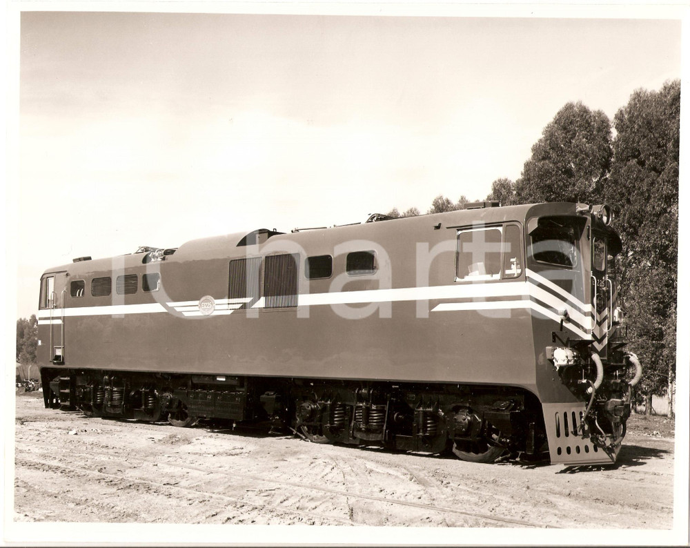 Fotografia d'epoca originale 1970 ca SOUTH AFRICA Locomotiva E1225 *Fotografia 1