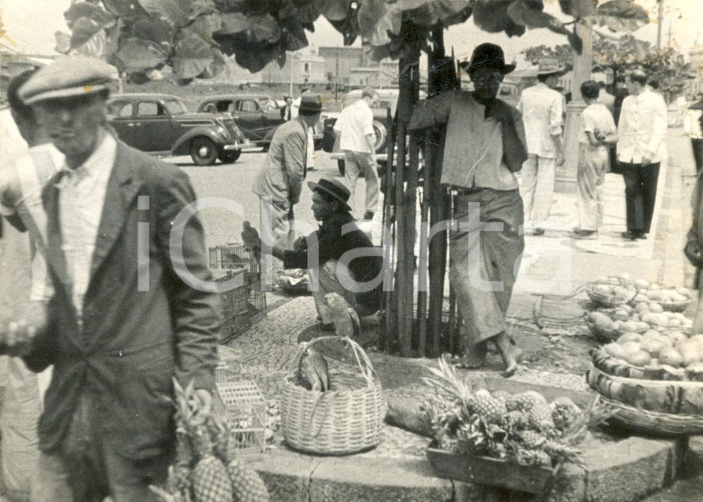 Fotografia d epoca originale 1970 ca INDIA Venditori di ananas e di pappagalli al mercato Fotografia 1