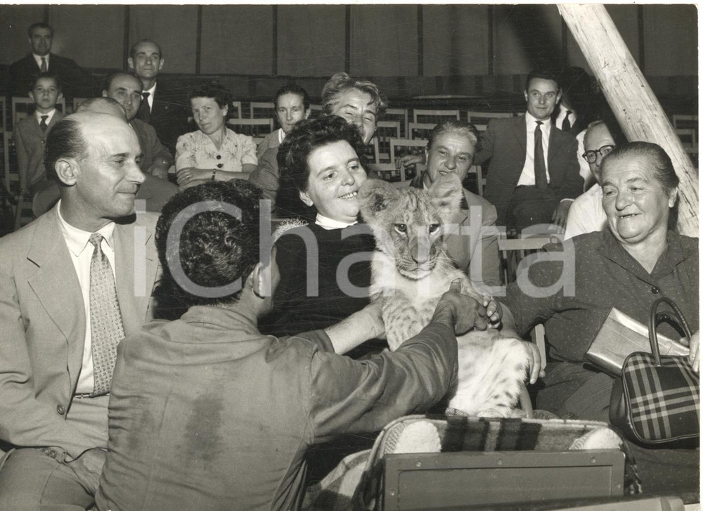 1959 TORINO CIRCO TOGNI Domatore mostra leoncino a disabile in platea *Foto Fotografia d'epoca con didascalia coeva.  CONDIZIONI: G FORMATO: 18x13 cm     originale e autentica 1