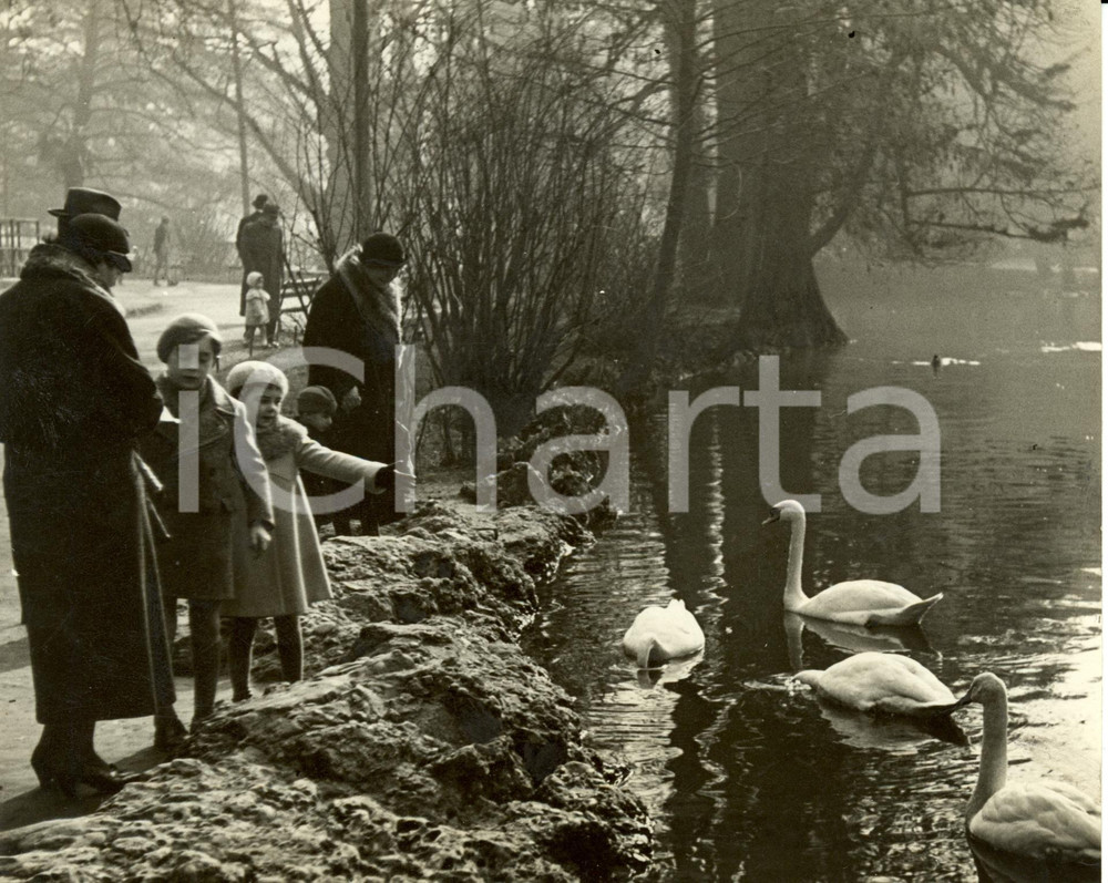 Fotografia d epoca originale 1935 MILANO Parco SEMPIONE Bambini ammirano cigni nel laghetto del parco Foto 1