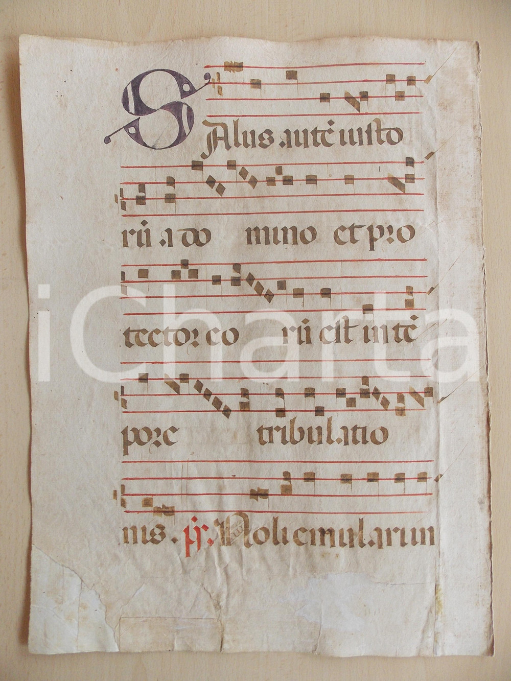 Libro, pubblicazione d epoca 1600 ca ANTIFONARIO ROMANO Pagina manoscritta rosso nero Salmo SALUS Danneggiata 1