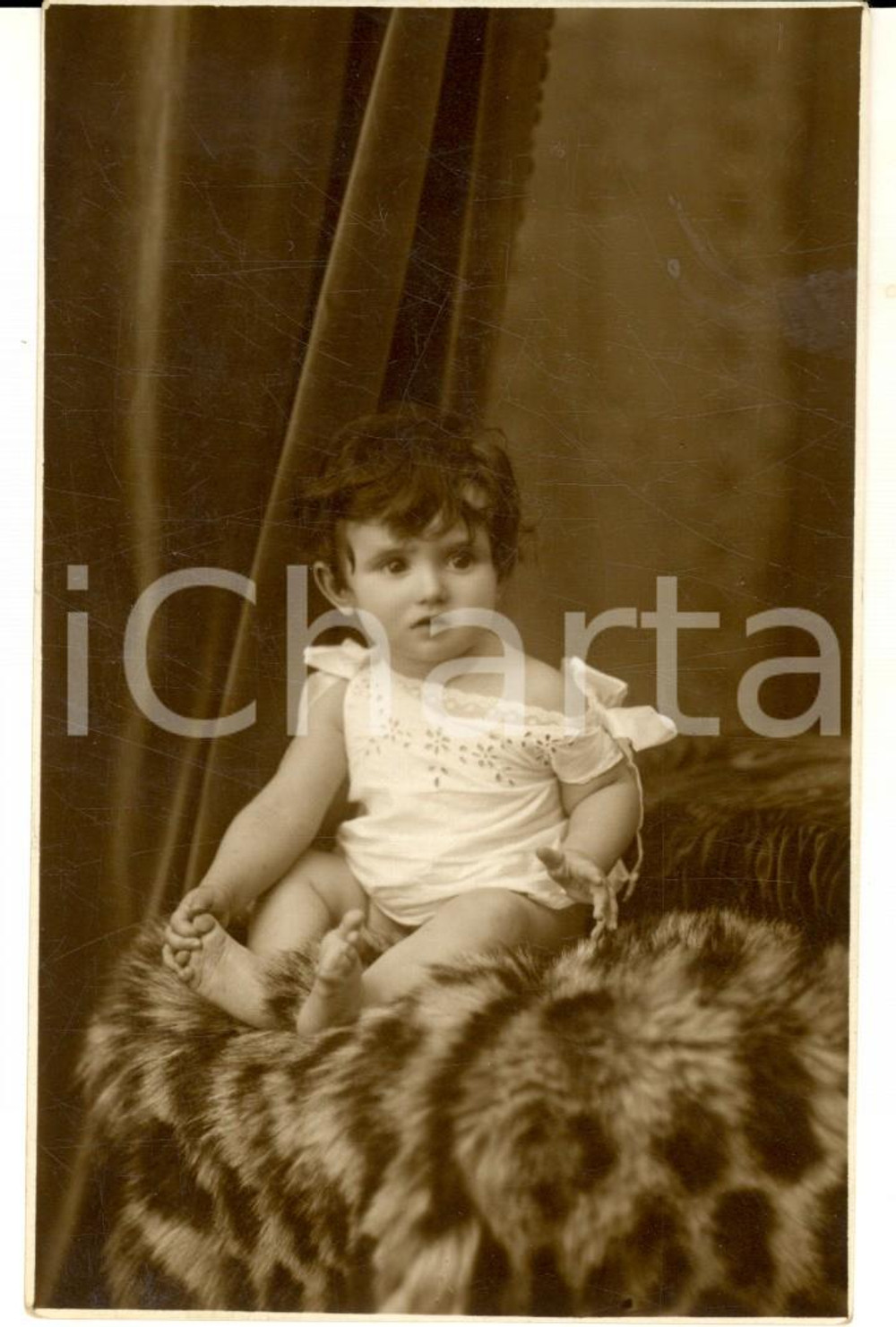 Fotografia d epoca originale 1925 BELLUNO Ritratto di bambina su un pellicciotto Foto cartolina A. ROCCO FP 1