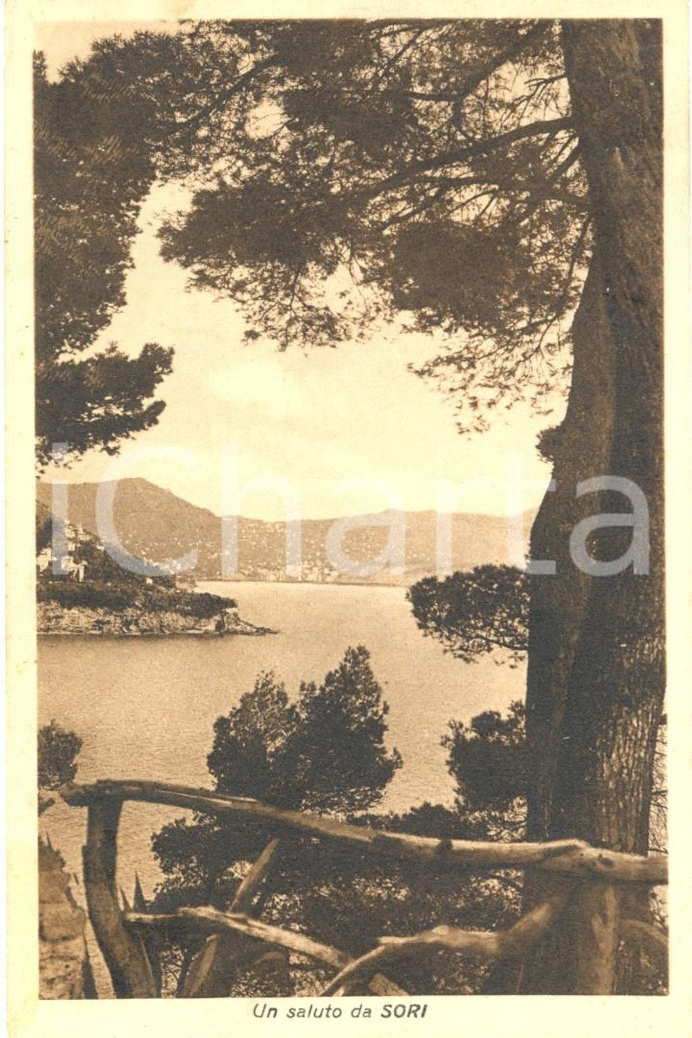 Cartolina originale da collezione 1937 SORI (Genova) Scorcio panoramico sul mare *Cartolina FP VG 1
