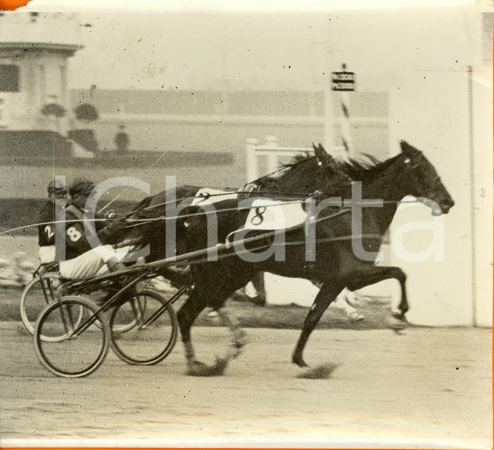 Fotografia d epoca originale 1939 MILANO Ippica SAN SIRO  Premio dei Giovani  Arrivo di GHERSA Fotografia 1