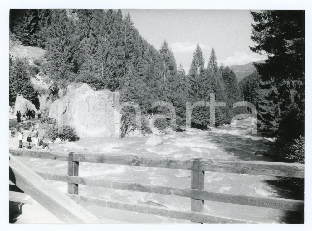 1982 VAL DI GENOVA (TN) Turisti al Torrente Sarca di Genova - Panorama - Foto
