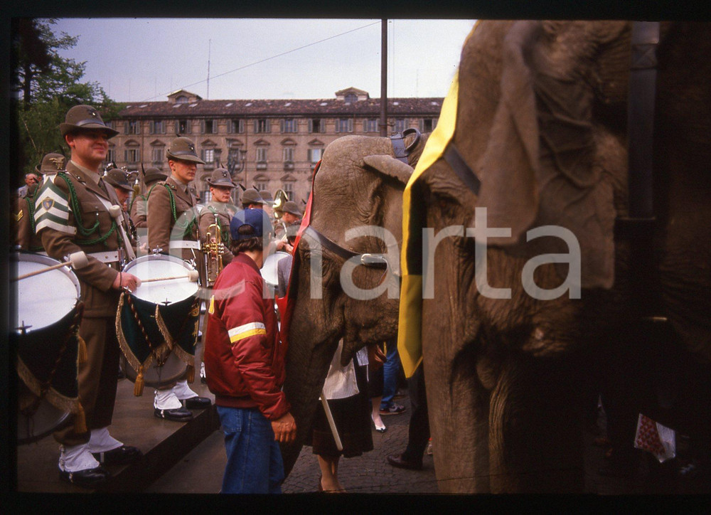 35mm vintage slide* 1988 TORINO Alpini ed elefanti alla IAN BOTHAM HANNIBAL WALK