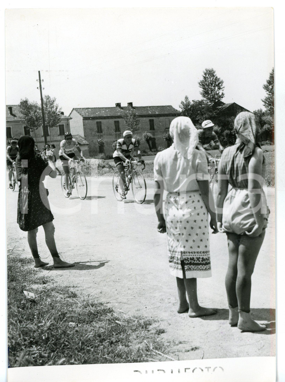 1955 ca GIRO D'ITALIA - CAMPAGNA NOVARESE Mondine al passaggio dei ciclisti