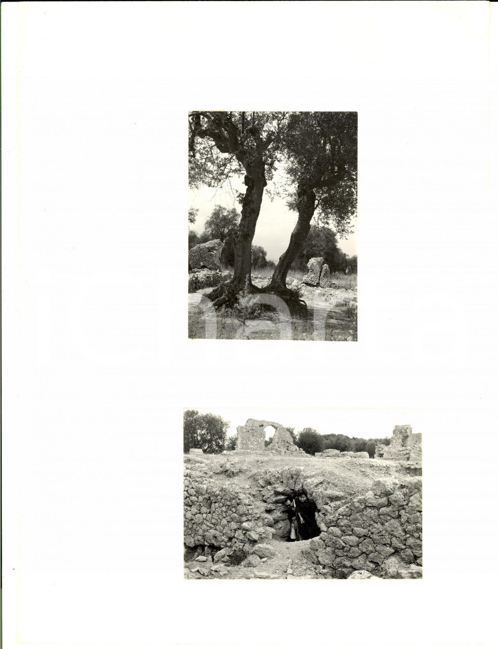 Fotografia d epoca originale 1960 PRATA D ANSIDONIA Una gita nel sito archeologico Lotto 2 foto ARTISTICHE 1