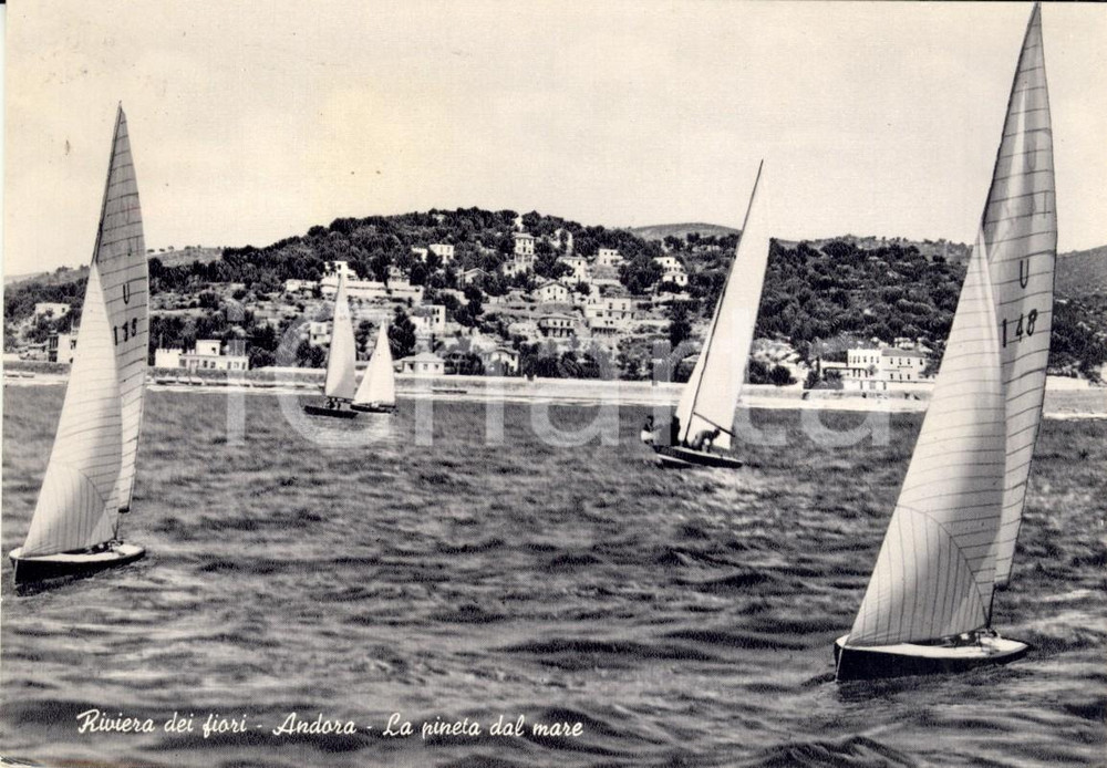 Cartolina originale da collezione 1955 ANDORA SV Veduta della pineta dal mare Cartolina ANIMATA con vele FG VG 1