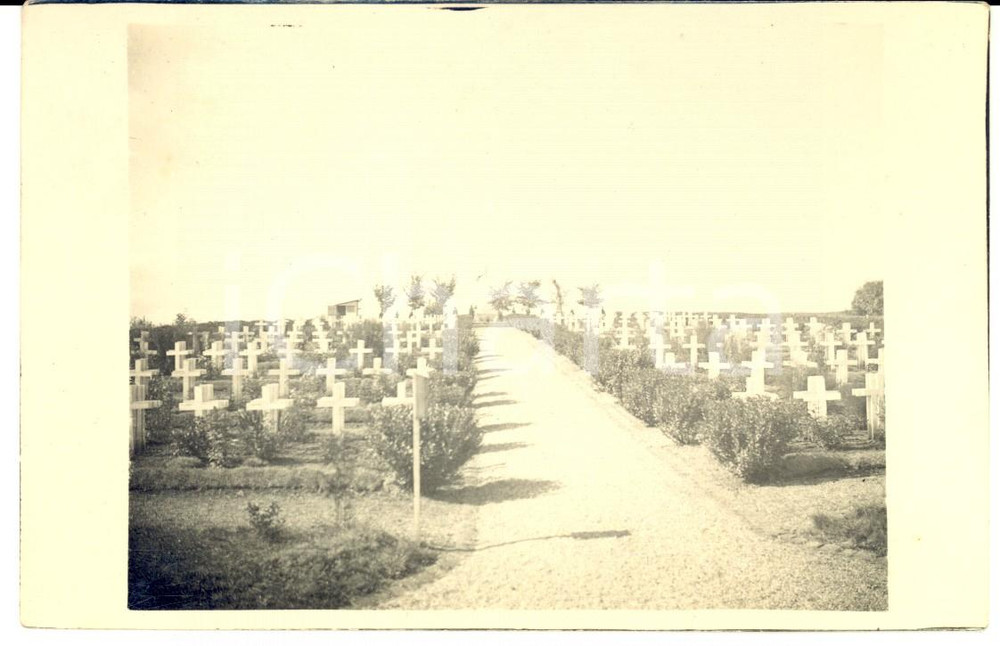 Fotografia d epoca originale 1920 ca FRANCE CimetiÃ¨re de guerre avec croix blanches Photo carte postale 1