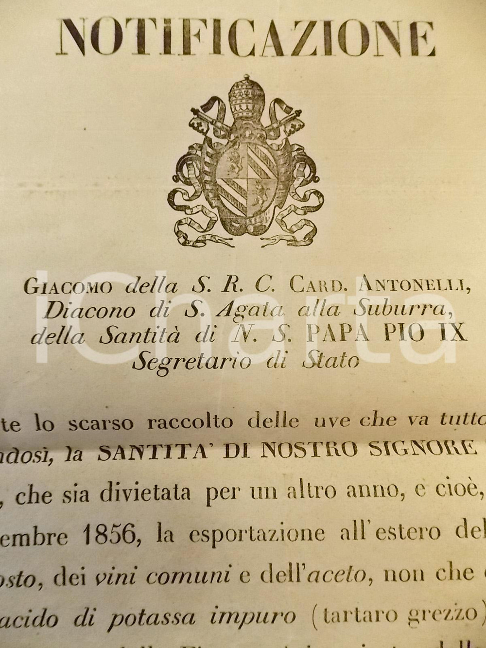Documento originale, autentico 1855 STATO PONTIFICIO ROMA Divieto esportazione uve. mosto e vini comuni RARO 1