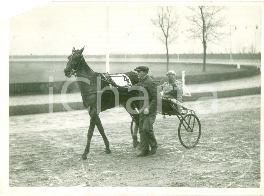 Fotografia d epoca originale 1935 ca MILANO SAN SIRO Cavallo THE MARCHIONESS all Ippodromo Fotografia 1