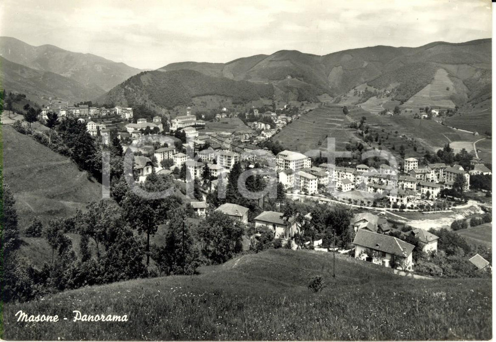 Cartolina originale da collezione 1959 MASONE (GE) Panorama del paese e dei dintorni *Cartolina postale FG VG 1